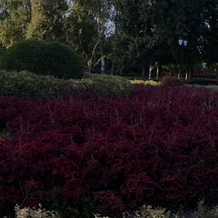 Страшилки на ночь 