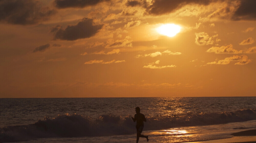 Книги на один день 