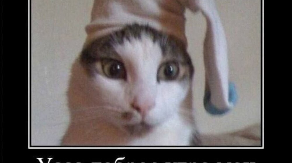 книжный клуб выходного дня