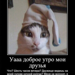 книжный клуб выходного дня