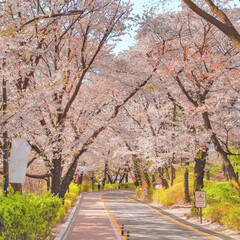 Классика средней школы