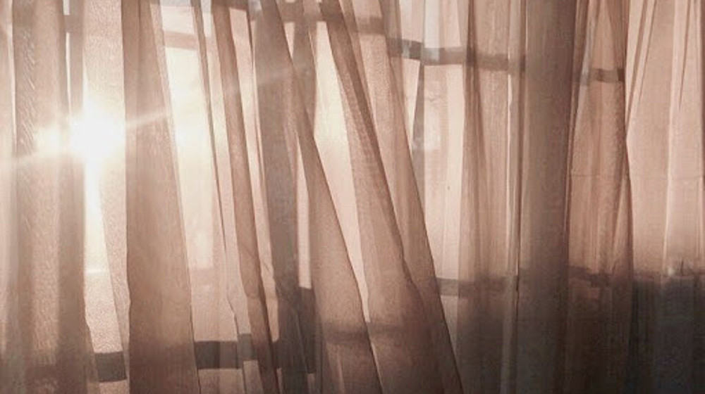 По программе