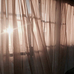 По программе