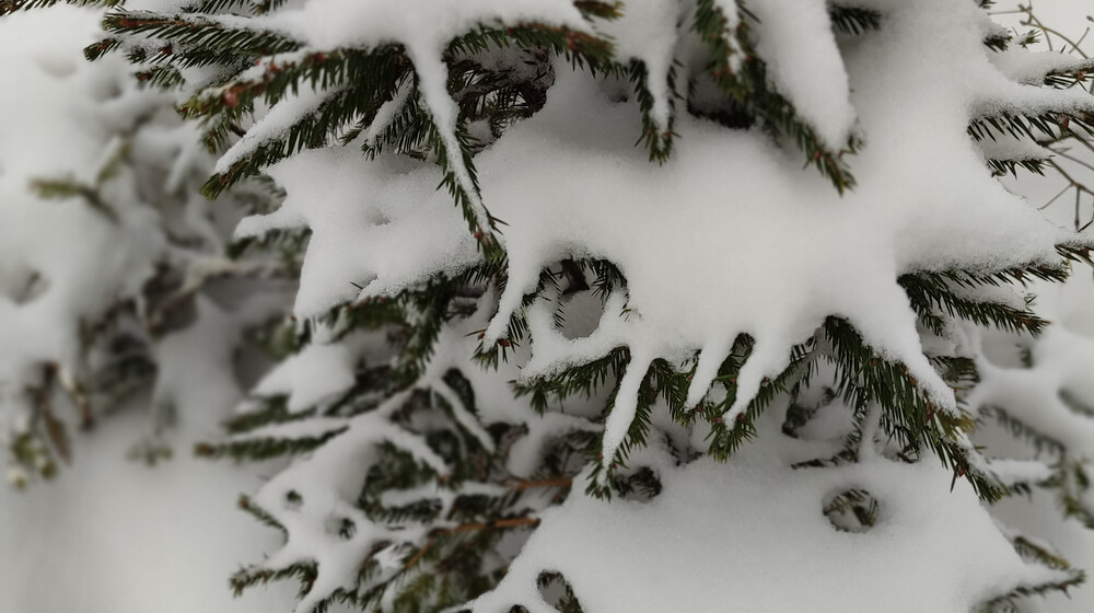 Психология