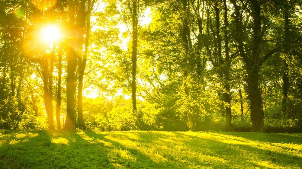 ДУХОВНОЕ РАЗВИТИЕ