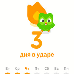 Теперь я совёнок дуалинго