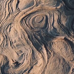 Библиотека Живницы