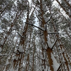 Русская литература