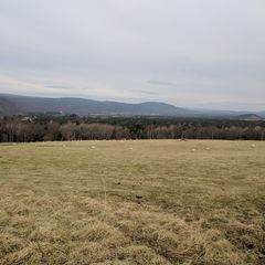 в скором времени