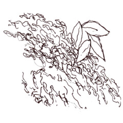 Остановись, послушай лето