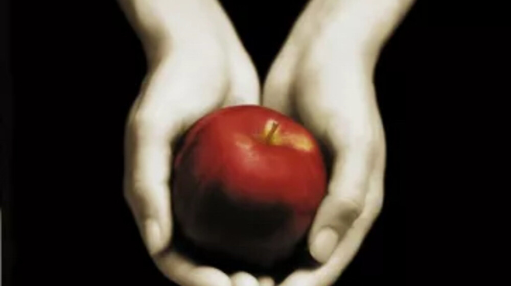 Сумерки Сага