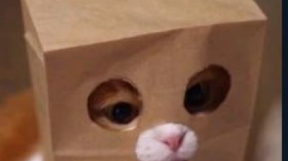 я не знаю зачем я это читал