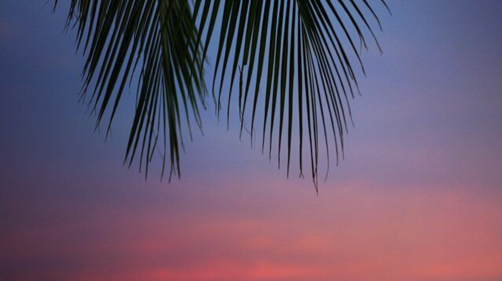 Психология