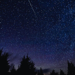 То, что заняло особое место в сердце.