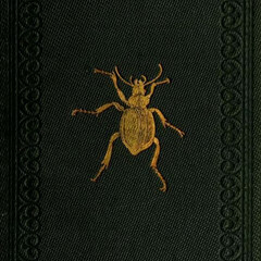 научпоп: биология & физика