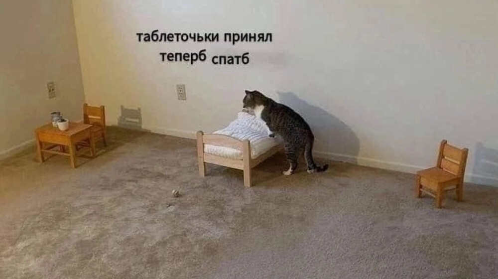 чтоб кукуха не улетала 