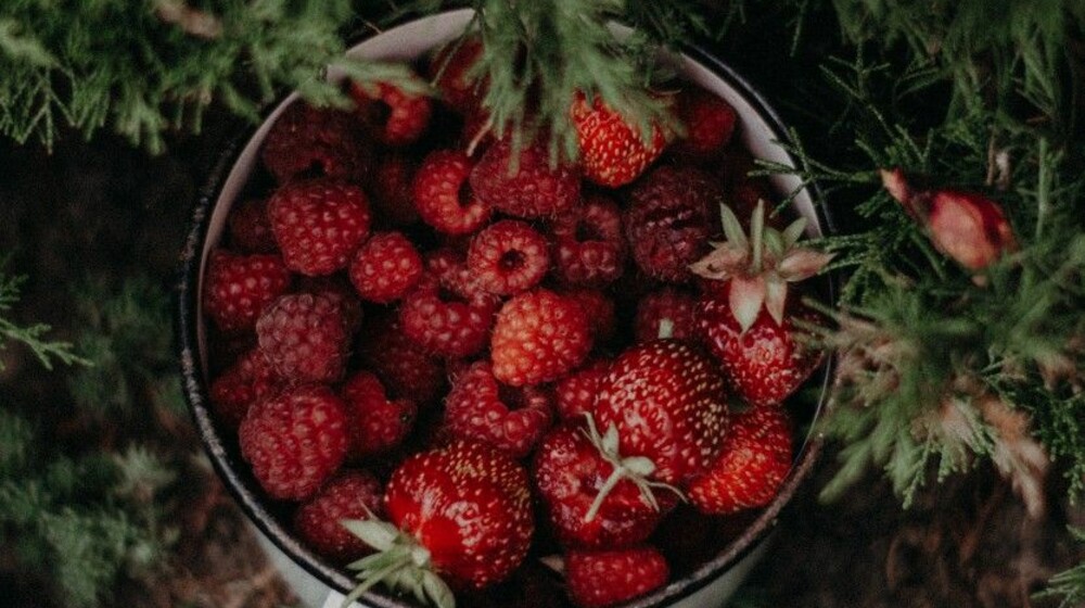 Летняя полка