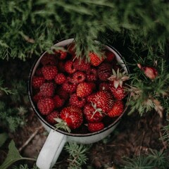 Летняя полка