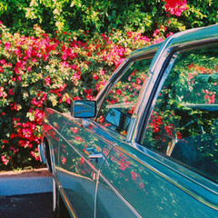 Научно и не скучно