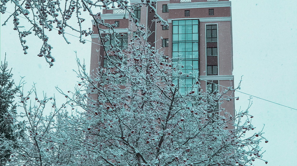 Художественная литература 