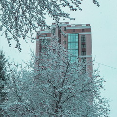 Художественная литература 