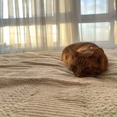 Полка для общения и ответов 