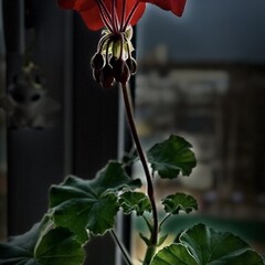 Фантастика