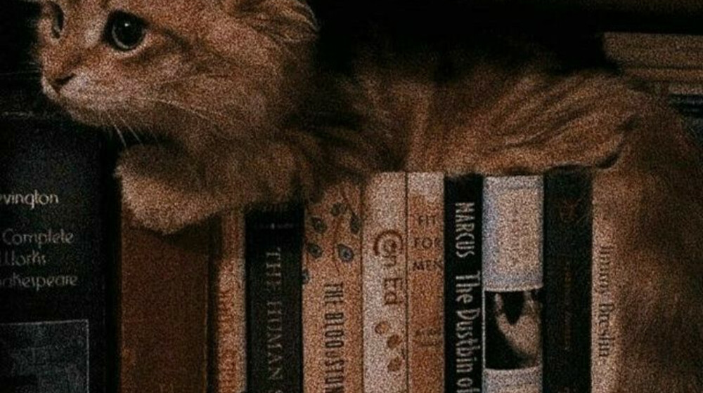 Прослушала :