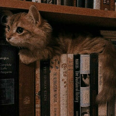 Прослушала :