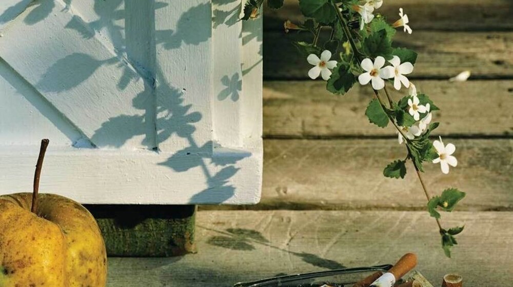 смерть и криминал