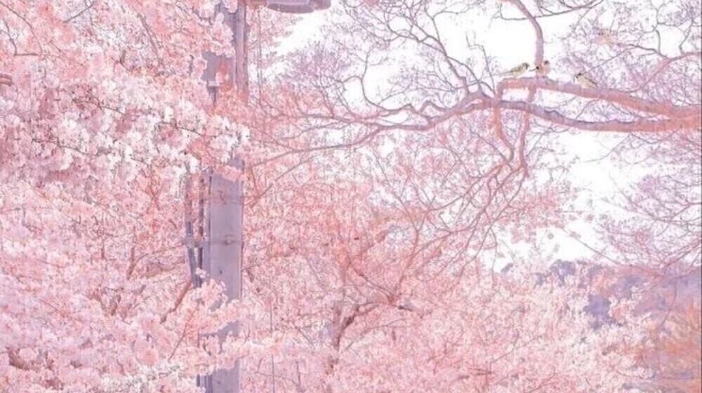 Воздушные книги: весеннее 🫧