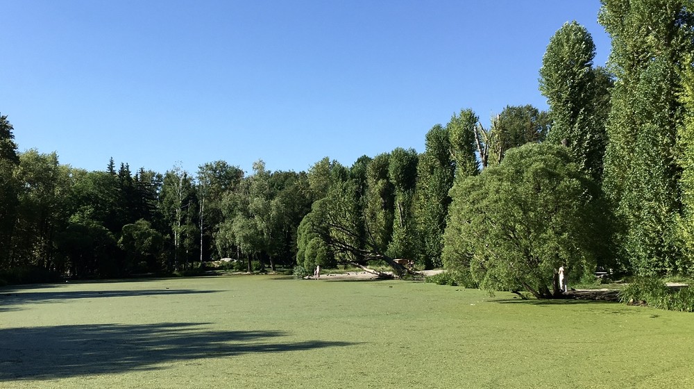 Вам нужен отдых