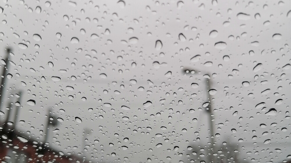 ✨Джулия Гарвуд