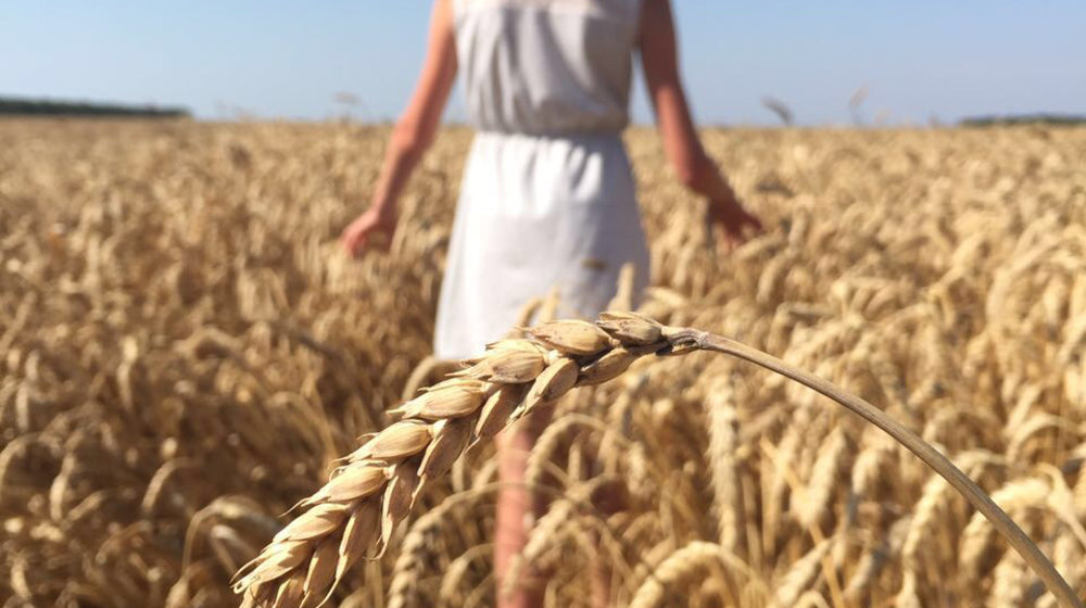 Златины книжки