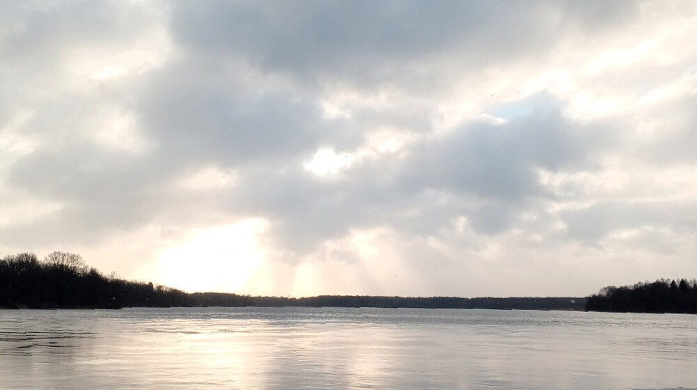 Образовательные