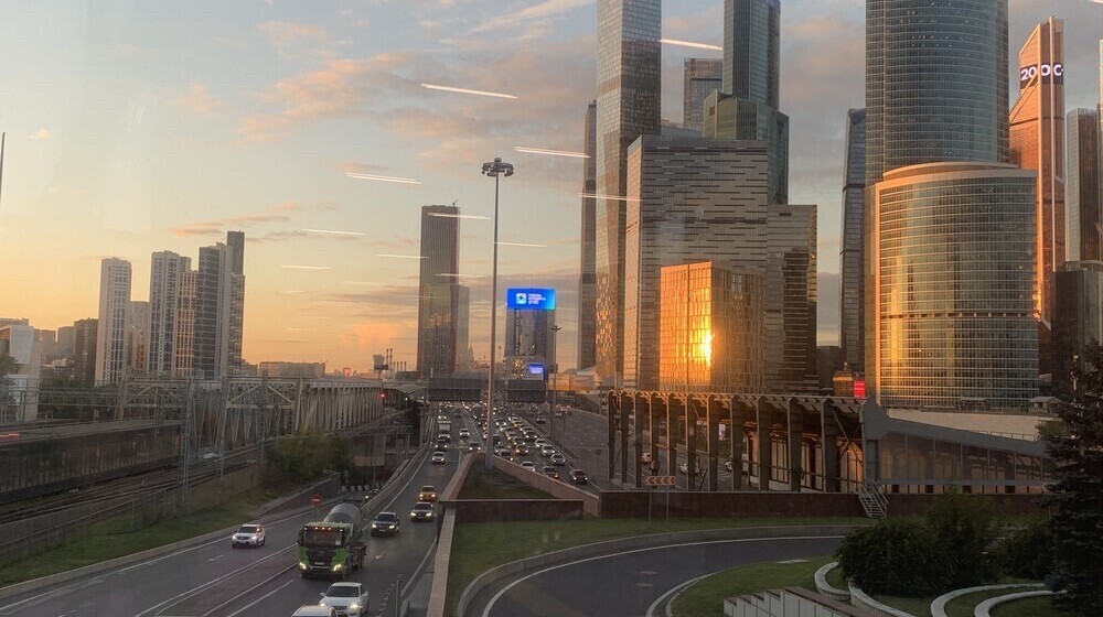 ♪Коты детективы♪