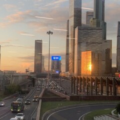 ♪Коты детективы♪