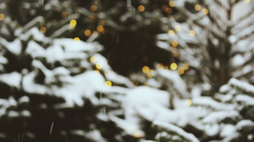 машины книжки