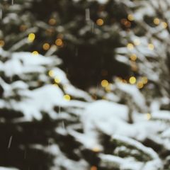 машины книжки