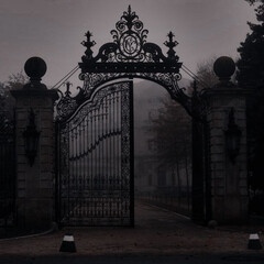 Анна Синнер "Академия Сейгард"