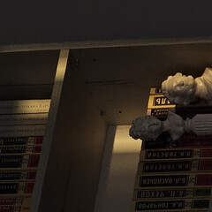 Антиутопии🌍