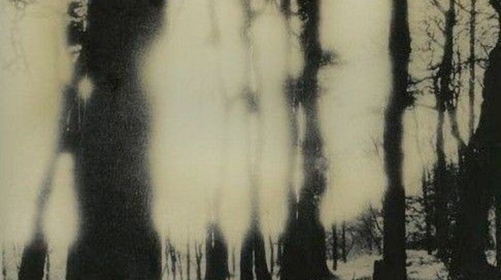 курс отечественной литературы