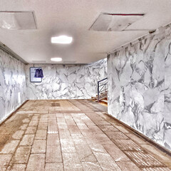 Стругацкие