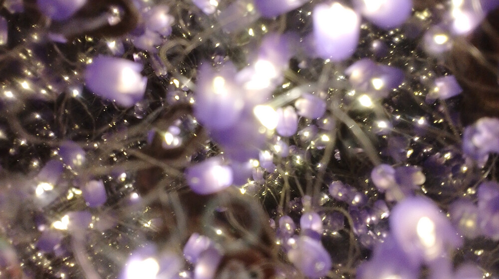 Межграничная академия