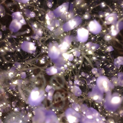 Межграничная академия