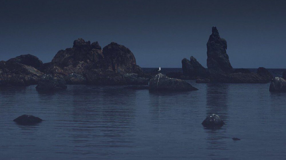 Режиссура кино и ТВ