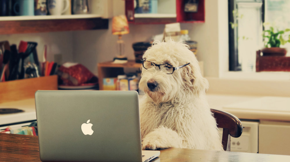 Так много книг, так мало времени