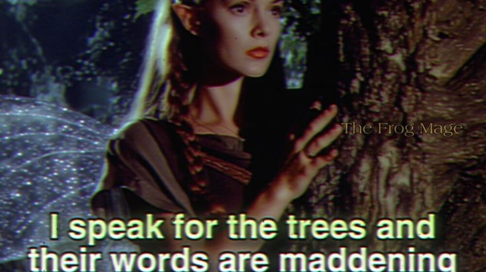 'лесные' книги