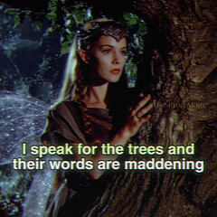 'лесные' книги