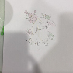 Как понять животных 